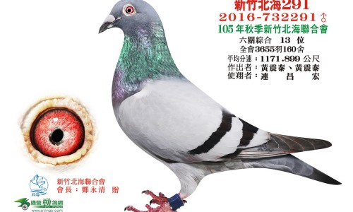 断过奶的孩子是什么意思-权威断奶后在吃还会有奶水吗平台,分享专业断过的奶再吃还有营养吗知识_断过的奶再吃还有营养吗网